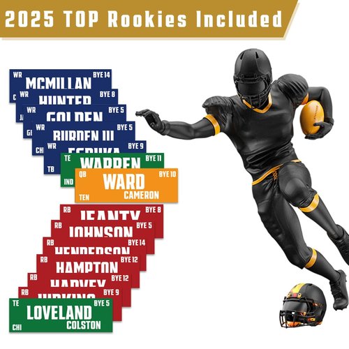 Fantasy Football Draft Board 2025-2026 Kit - Extra Large Set 14 Teams 20 Rounds with 600+ Total Label Stickers - Premium Color Edition