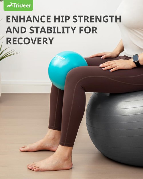 Trideer Pilates Ball 9 Inch with Pump, Exercise Balls Physical Therapy, Physical Therapy Equipment, Small Exercise Ball Between Knees, Small Pilates Ball for Yoga, Core, Office&Home Gym