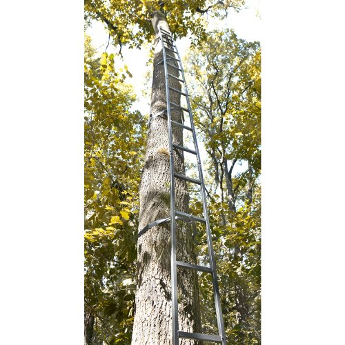 Guide Gear Climbing Ladder for Tree Stands, Climbing Equipment for Deer Hunting, 20’