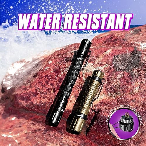 UV Blacklight Flashlight Set - 2 Pack, Black & Gold, 395nm Detection Pen