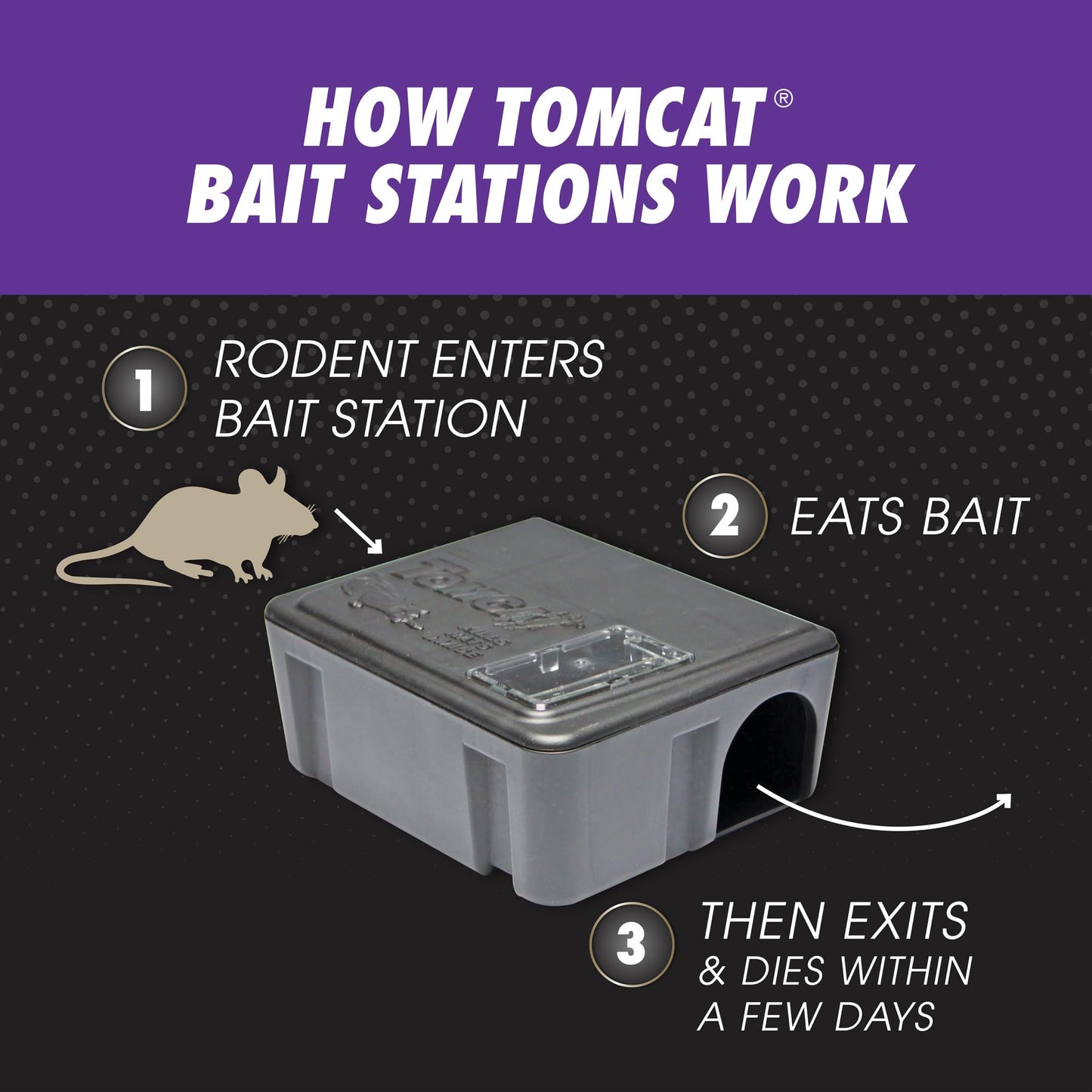 Tomcat Advanced Brand Rat & Mouse Bait with Refillable Station, Indoor and Outdoor Use, 1 Station and 12 Bait Block Refills