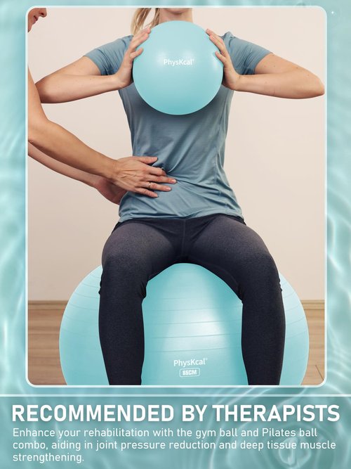 PhysKcal Exercise Yoga Ball Chair with Pilates Ball Set to Strengthen Cores, Balance and Stability, Relieve Pelvic and Lower Back Pain (Sky Blue, M (22-25''/58-65cm))