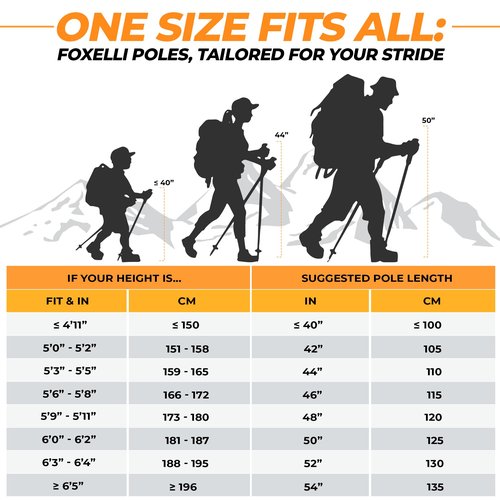 Foxelli Carbon Fiber Trekking Poles – Lightweight Collapsible Hiking Poles with Cork Grips, Lever Locks & All Terrain Accessories