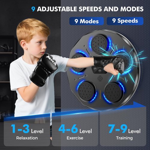 Dashsafe Music Boxing Machine for Adults and Kids, Smart Bluetooth Boxing Training Equipment with Gloves, Wall Mounted Workout Punching Machine Electronic LED for Home, Office, Gym, 9 Modes & 9 Speed