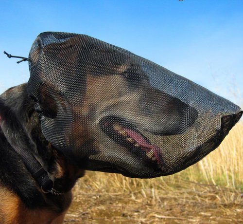 Out Fox Field Guard Size XS - Vet-Recommended Dog Safety Mask for Foxtails, Grass Seeds, Bugs and Debris | Breathable, Lightweight, Patented Design | Multiple Sizes