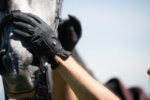 Roeckl Grip Riding Unisex Gloves Black 7