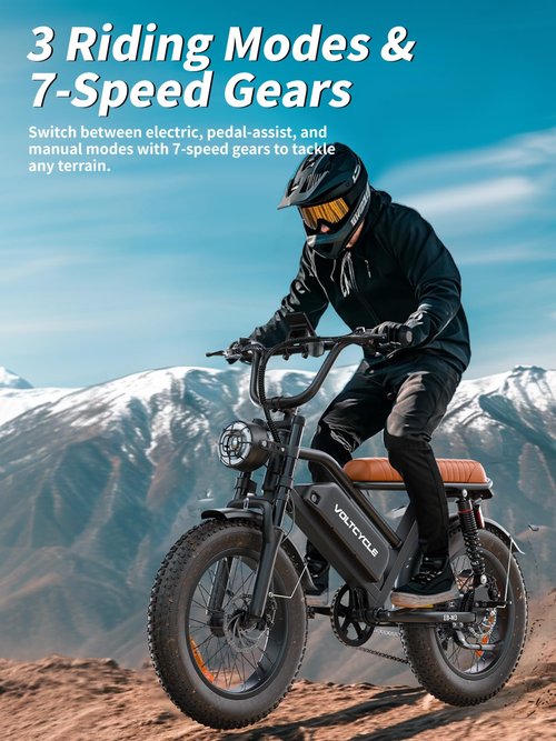 Electric Bike for Adults Peak 1000W 48V 18.2AH Electric Bicycle 20x4.0 inch Fat Tire Mountain Electric Motorcycle 28MPH & 30-60 Miles Ebike Full Suspension Electric Dirt Bike 7 Speed Adult E-Bike