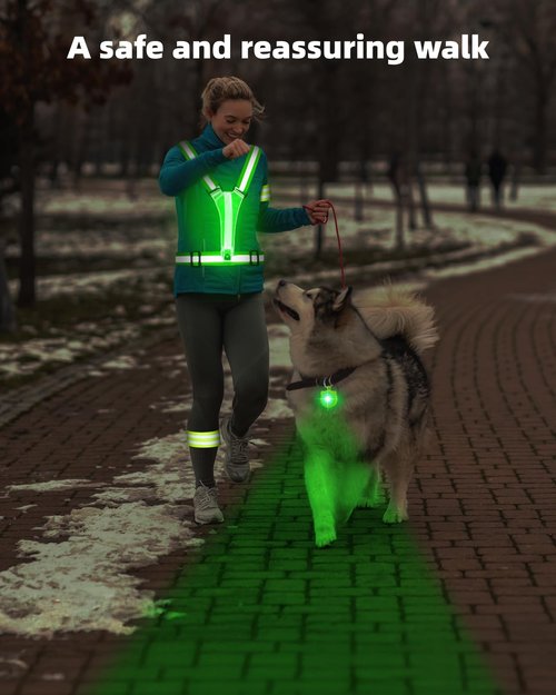 Mexlyca LED Reflective Vest Safety Gear, 5 Lights Colors High Visibility Reflective Running Gear for Dog Walking Running Cycling, Adjustable for Men Women Kids - Dog Light with USB Rechargeable