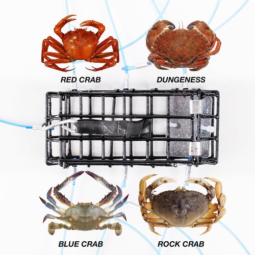 A1FISHER Crab Traps with Galvanized Steel Mesh with 6 Blue Loops 3PCS for Dungeness, Rock Crab