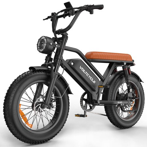 Electric Bike for Adults, 48V 18.2AH Electric Motorcycle Long Seat Electric Bicycle Full Suspension 20" Fat Tire Ebike Max 28MPH& 30-60 Miles All Terrain E-Bike for Mountains, Sand, Road (48V 750W)
