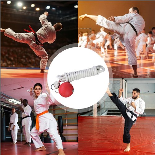 Rope Dart Trainer Rope Dart Meteors Hammer Rubber Throw Practice Rubber Weight Throw Exercise Ball Martial Arts Fitness Equipment for Chinese Traditional Kung Fu