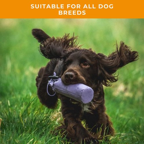 Dog & Field Puppy Training Dummies - White. 3.5oz Canvas Training Dummy for Puppies. Dog Retriever Training Dummy, Dog Training Bumper, Hunting Dog Accessories, Water Float Dummy
