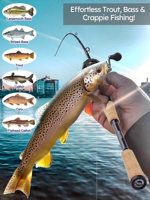 Jenseits 7'0" Casting Rod – 2-Piece Carbon Fiber Fishing Rod, Medium Heavy Power, Extra Fast Action, 3A Cork Handle, Stainless Steel + Ceramic Guides – Bass & Lure Fishing Pole