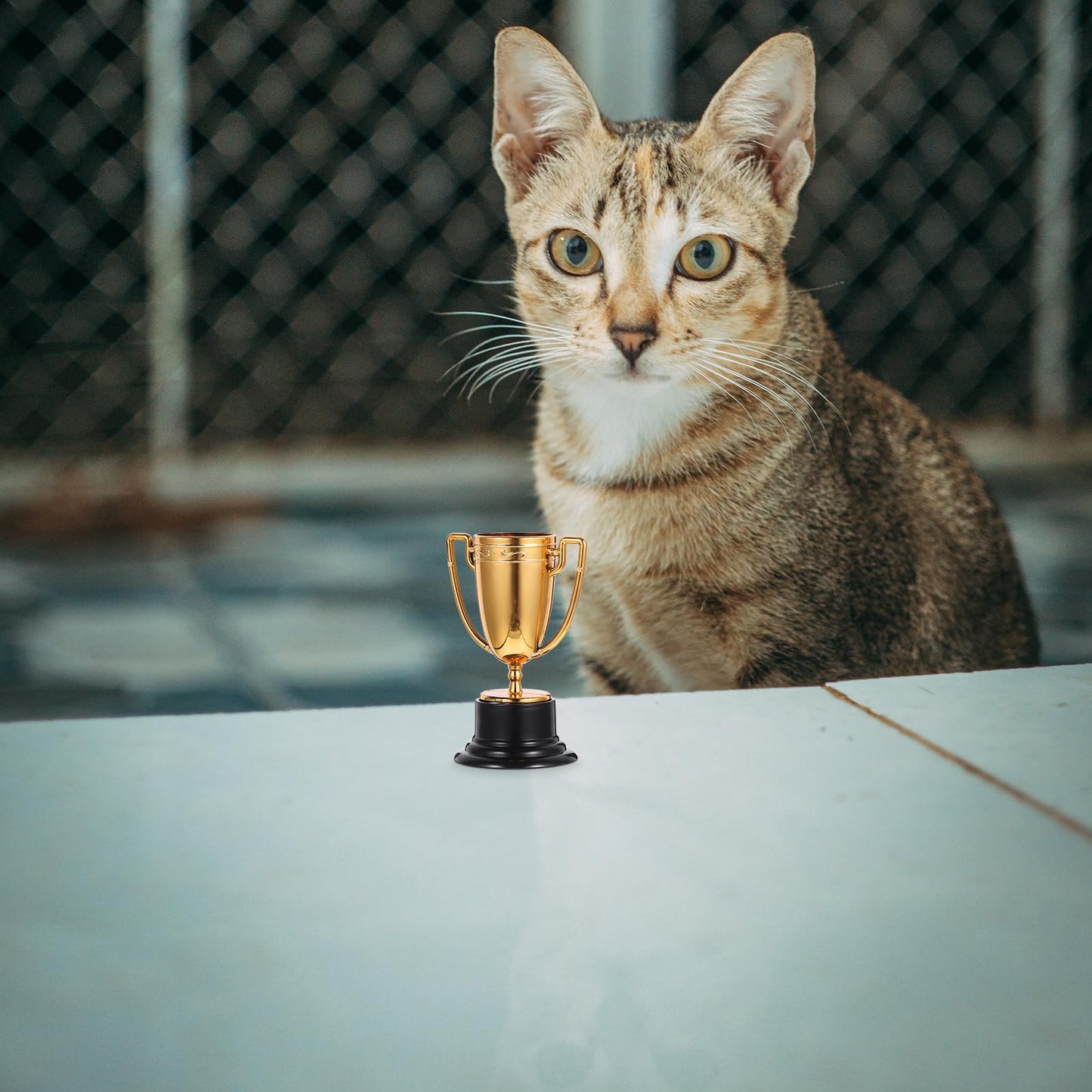 JOINPAYA 3pcs Mini Plastic Trophies Cup: Awards Gold Trophy Shiny Golden Winner Medals Small Bulk Award School Rewards Sport Tournament Prize