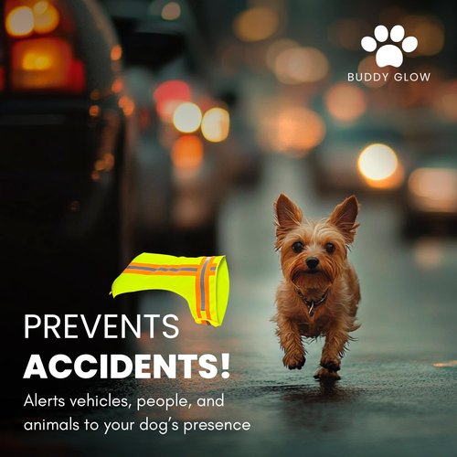 Buddy Glow Reflective Dog Vest: Hi-Visibility Safety Gear for Outdoors. Safeguard Your Dog with Easy to wear Adjustable Reflective Vest (Small)
