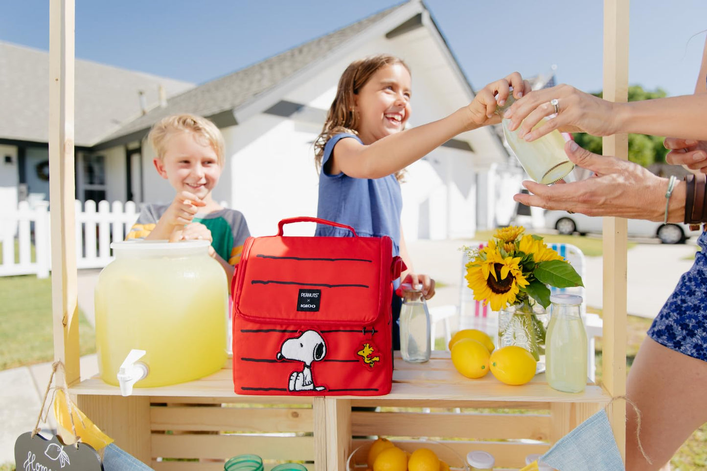 Igloo Snoopy’s House 16-Can Lunch Pail