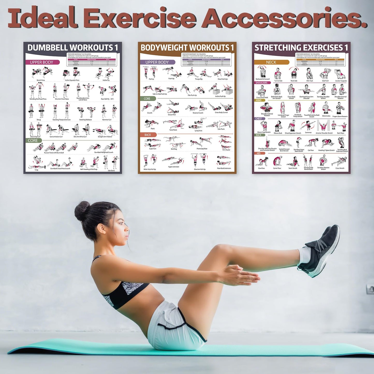 gisgfim 6PCS Workout Posters Dumbbell Bodyweight Stretching Workout Exercise Chart for Home Gym Full Body Routine Poster Set Muscle Engagement Exercise Illustrations Garage Home Gym Wall Decorations