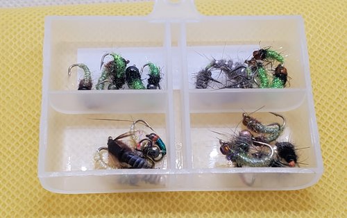 Caddis Nymph/Caddis Larva Selection, Bead Head Caddis Nymph, Caddis Fly