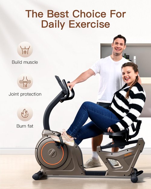 Niceday Recumbent Exercise Bike, Indoor Recumbent Exercise Bike for Home with 400LBS Capacity, High-end Stationary Bike with Smart Bluetooth