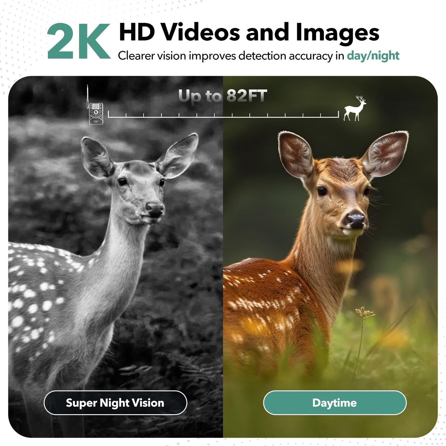 GLEEMALL Cellular Trail Camera 4G Unlimited Data Plan Built-in SIM Card 2K Live Feed Game Camera 0.2s Trigger Solar Powered Trail Camera with Night Vision Motion Activated Waterproof IP66