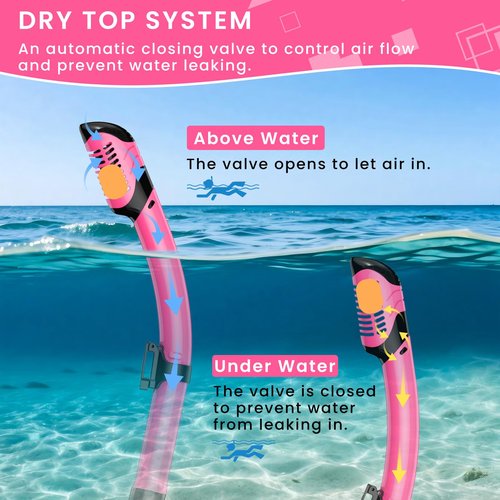 Snorkeling Gear for Adults, Adult Snorkel Mask Set Scuba Diving Dry-Top, Swimming Goggles w/Nose Cover, HD Tempered Glass Panoramic Anti-Leak Anti-Fog, Travel Snorkeling Packages Storage Bag, 2 Pack