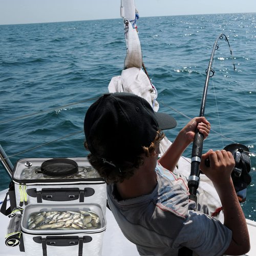 WHCDSTGJ Transparent Lid Fishing Bucket, Portable Foldable Bait Bucket with Aeration Hole, Live Fish Storage. 6 gallons