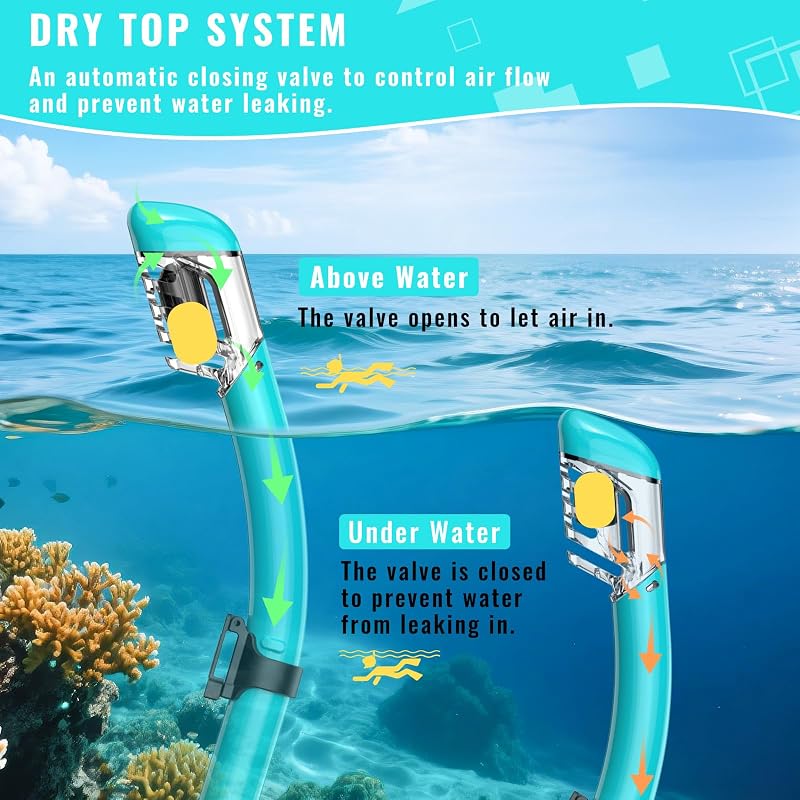 Green Anti-Fog 2-in-1 Snorkeling Mask & Dry-Top Snorkel Set for Adults