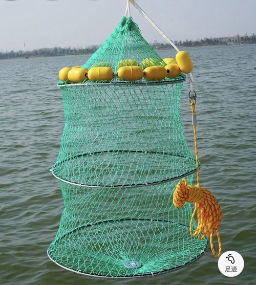 FASPLORE Collapsible Fish Basket, Floating Net Fish Keeper, 3-Ring Mesh Design with Rope, Green