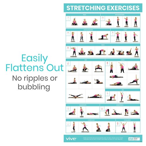 Vive Workout Posters for Home Gym - 52 Streching Exercises Full Body Workout - Laminated Pre Post Routines Wall Chart - Bodyweight Poses Instruction Guide for Core, Abs, Legs, Glutes, Upper Body