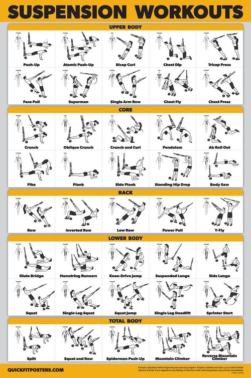 Palace Learning QUICKFIT Suspension Workout Exercise Poster - (Laminated, 18in x 24in), Hallway