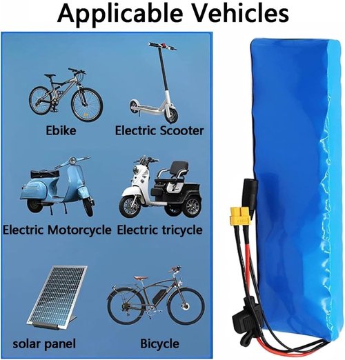 60V 30Ah E-Bike Battery Pack with BMS Protection, Lithium Battery with Charger for Electric Bicycle