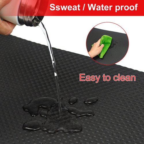 LM BODYCARE Bike Mat-6mm Thick Exercise Bike Mat,Treadmill Mat for Carpet & Hardwood Floors,Mats for Gym Equipment,Indoor Exercise Equipment Mat,Exercise Mat,Fitness Mat,Stationary Bike Mat, 12*25