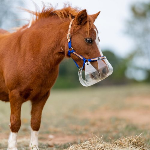ThinLine Flexible Filly Grazing Muzzle | Lightweight Safe Comfortable Ventilated Equine Slow Feed Halter Mounting Clear Horse Mask, Cob/Horse, 2.5+ cm Hole