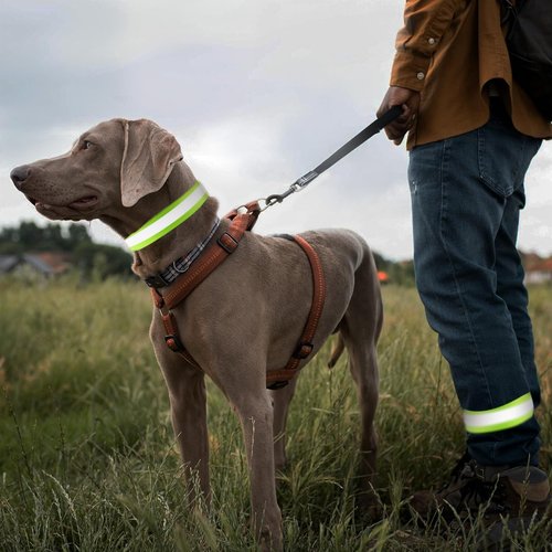 Alrhso 4 Pcs Reflective Arm Band Reflective Running Straps Ankle Strap High Visibility Adjustable Running Gear Elastic Wristbands for Jogging, Cycling, Walking Accessories