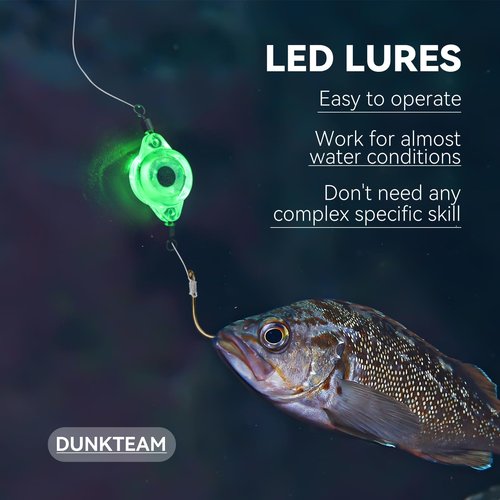 DUNKTEAM Deep Drop Underwater Fishing Lure Light, Fish Eye Lighted Bait, Deep Sea LED Fishing Lures Kit, Underwater Flasher Lures 5PCS
