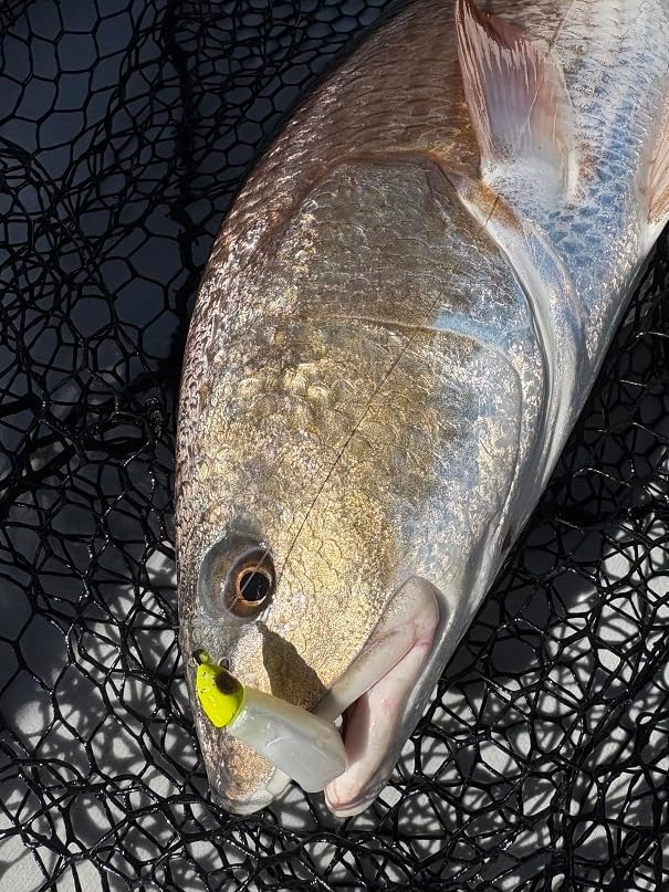 Jig Heads with Black Nickel Hook - 3/4 oz White 3 Pack, 6/0, Double Locking Bait Stays, 3D Eyes