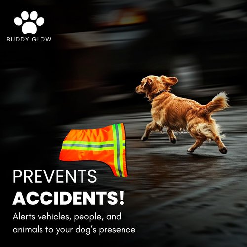 BUDDY GLOW Reflective Dog Vest – Fluorescent Orange | High-Visibility, Water-Resistant Safety Jacket with Adjustable Fit for Day & Night Walks, Hiking, Hunting, and Outdoor Use (Large)