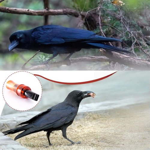 Imitating Crow Sounds - Realistic Bird Sounds and Lures to Attract Crows | Portable Hunting Baits for Beginners/Professionals，Bird Attraction Tool(1 Pcs)