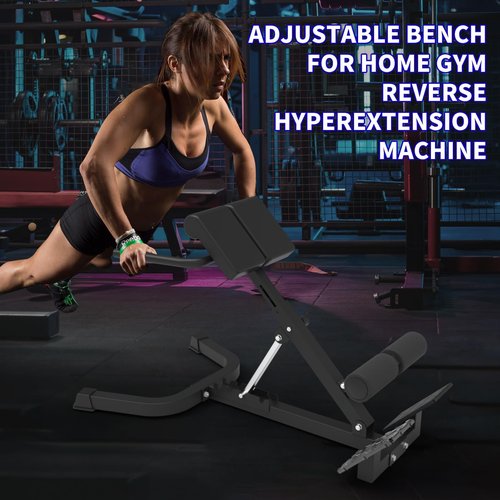 Dual Adjustable Roman Chair Back Extension Bench for Home Gym, 330lbs Weight Capacity, Adjustable Back Exercise Machine for Core Strength and Back Pain Relief