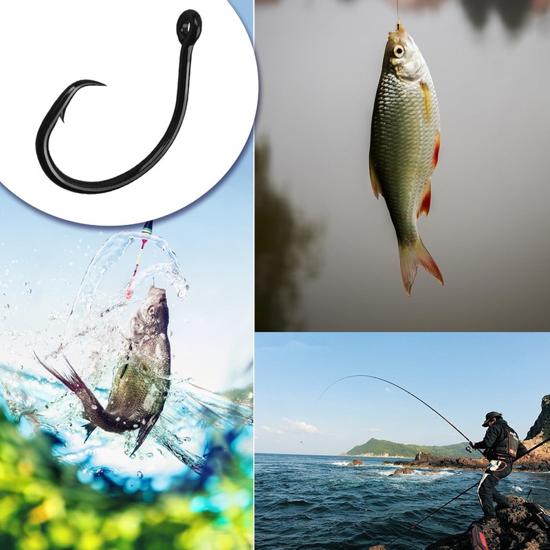 10PCS High-Carbon Steel Circle Hooks Barbed Fishing Hooks with Holes, Freshwater and Saltwater Fishing Hooks for Tuna, Catfish, Bass (2/0)