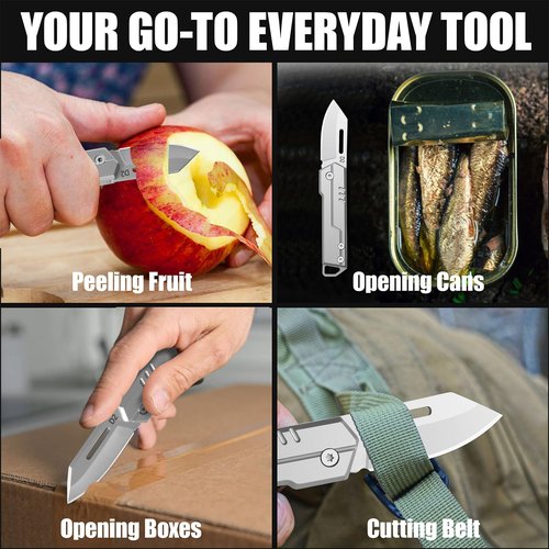 TerraJoy Small Pocket Knife Gifts for Men Him Dad Husband, Keychain Folding Knife for Everyday Carry, Lightweight Edc Gadgets for Camping, Hiking Fishing and Outdoor (Grey)