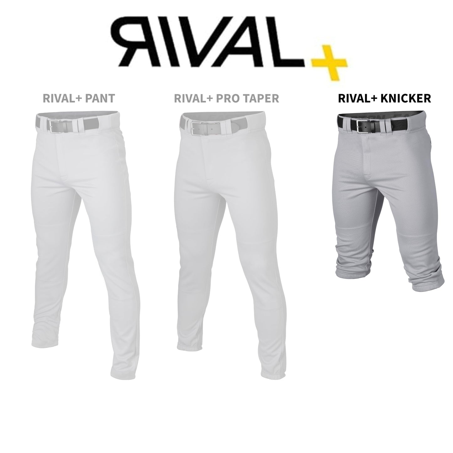Easton | RIVAL+ Knicker Piped Baseball Pant | White/Navy | Youth | Medium