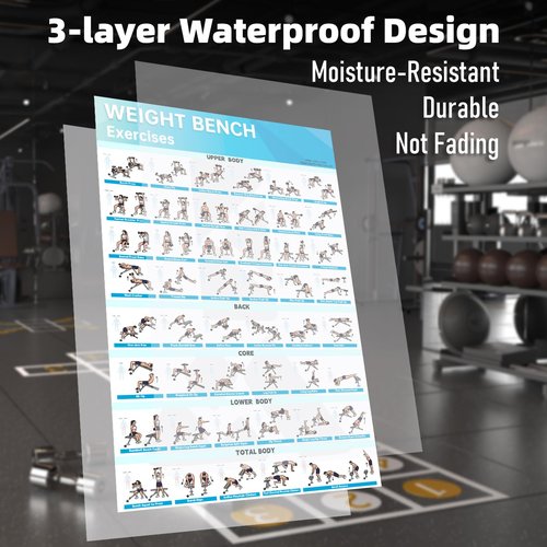 MCNBLK Fitness Bench Poster - Adjustable Benches Body Building Guide-LAMINATED, 17" x 27"