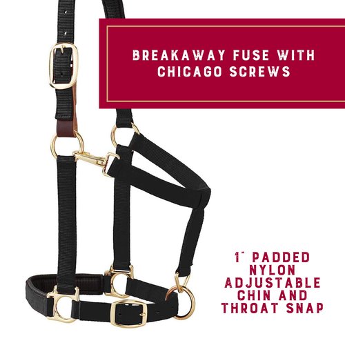 Weaver Leather Padded Breakaway Adjustable Chin & Throat Snap Halter, 1" Average Horse or Yearling Draft