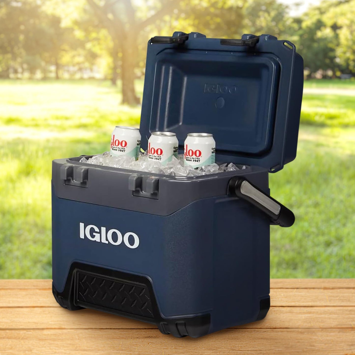 Igloo BMX 25 QT Rugged Blue