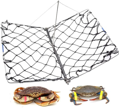 AirFly Foldable Crabjaw Trap with Bait Clip - Redesigned Rectangle Castable Crab Hawk Pot/Ring for Dungeness and Blue Crabs in FL, OR, WA, TX, and CA, Designed in San Francisco, USA