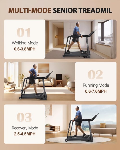Thalorus Walking Treadmill for Seniors with Full-Length Safety Handrails, Foldable for Small Spaces & Joint-Friendly Deck | Features Reverse-Walk Technology for Balance Training (TPB-3090)