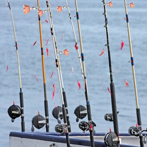 WOEUROI 21 Pcs Fishing Bells for Rods, Fishing Rod Bells Alert for Fish Catfish Bells with Clamp Clip on Poles Catfishing Equipment Angling Rings Ice Accessories for Angling Rod Tips (Rose Gold)