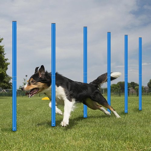 HOTOOLME Soccer Agility Training Poles Set - Includes 6 Agility Poles, 20ft Agility Ladder, 10 Soccer Cones, Jump Rope for Speed Training, Soccer Training, Basketball Athletes