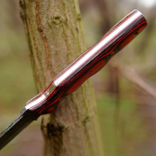 ColdLand Damascus Bushcraft Knife - 10.75 Inch Fixed Blade Knife with Camel Bone, Rose Wood & Pakka Wood Handle - Full Tang Hunting Knives with Leather Sheath for EDC, Camping & Hiking - NAK29